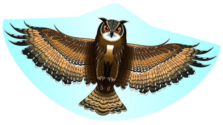 Produktbild: G&uuml;nther Flugspiele Einleiner Drachen Eule Spannweite (Details) 1220 mm Windst&auml;rken-Eignung 3 - 6 bft
