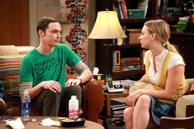 Produktbild: The Big Bang Theory - Staffel 5 [3 DVDs]