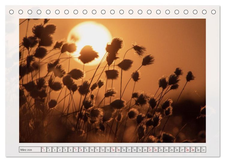Produktbild: Naturpark D&uuml;mmer (Tischkalender 2026 DIN A5 quer), CALVENDO Monatskalender