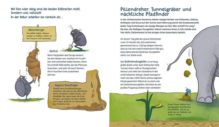 Produktbild: Die M&uuml;llabfuhr in der Natur &ndash; Alles &uuml;ber Mistk&auml;fer und Co.