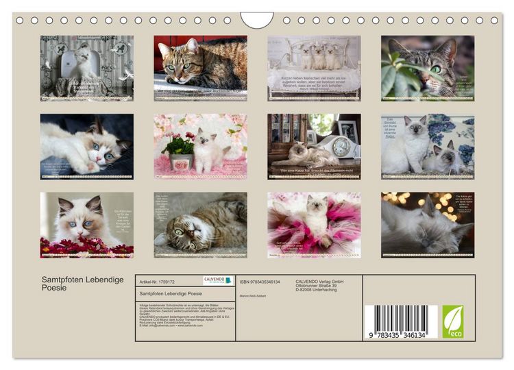 Produktbild: Samtpfoten Lebendige Poesie (Wandkalender 2025 DIN A4 quer), CALVENDO Monatskalender