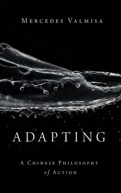 Produktbild: Adapting