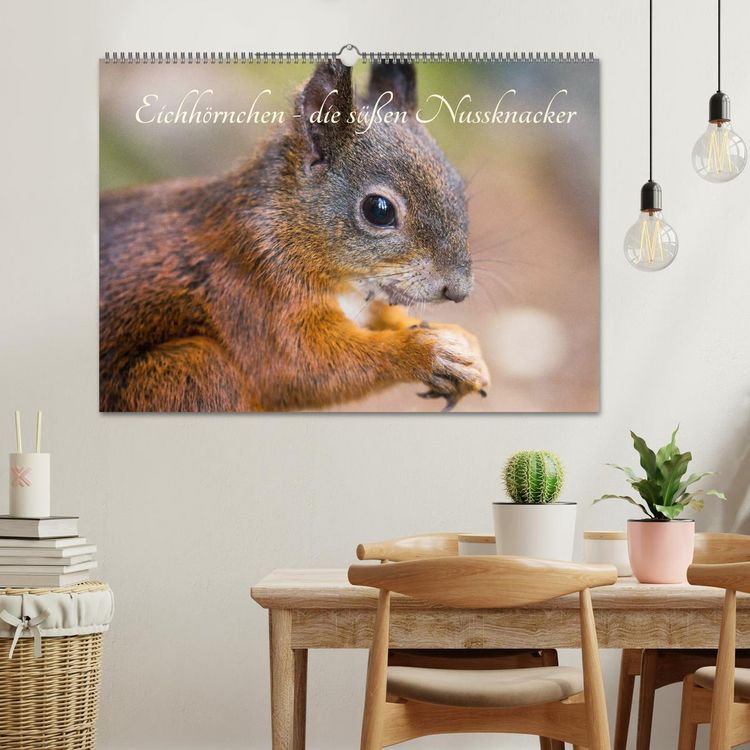 Produktbild: Eichh&ouml;rnchen - die s&uuml;&szlig;en Nussknacker (Wandkalender 2026 DIN A2 quer), CALVENDO Monatskalender