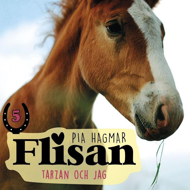 Produktbild: Tarzan och jag