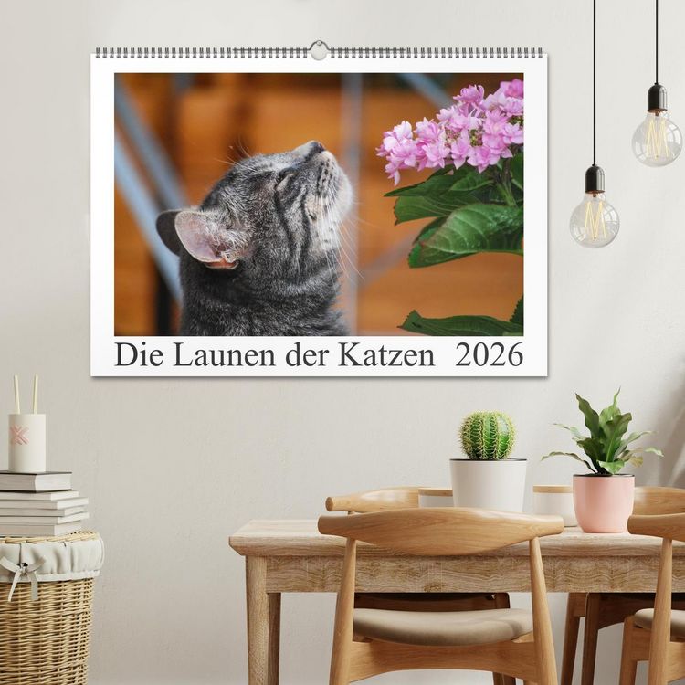 Produktbild: Die Launen der Katzen 2026 (Wandkalender 2026 DIN A2 quer), CALVENDO Monatskalender