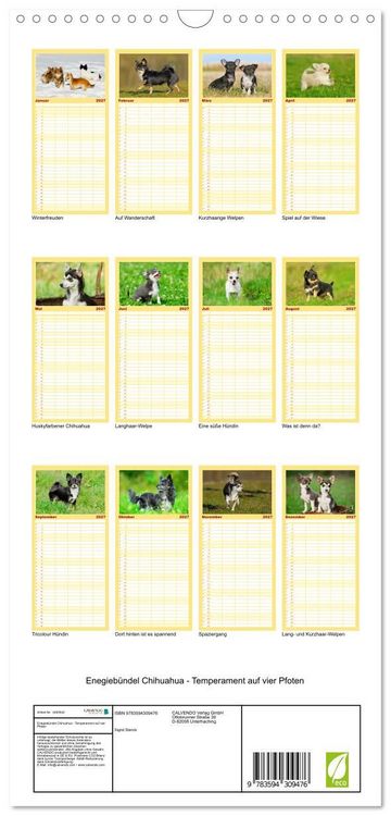 Produktbild: Familienplaner 2027 - Enegieb&uuml;ndel Chihuahua - Temperament auf vier Pfoten mit 5 Spalten (Wandkalender, 21 x 45 cm) CALVENDO