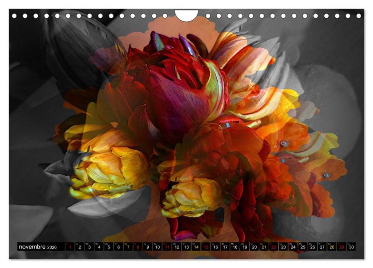 Produktbild: Bouquet d'un jour, bouquet pour toujours (Calendrier mural 2026 DIN A4 vertical), CALVENDO calendrier mensuel