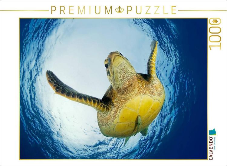 Produktbild: CALVENDO Puzzle Meeresschildkr&ouml;te | 1000 Teile Lege-Gr&ouml;&szlig;e 64x48cm Foto-Puzzle f&uuml;r gl&uuml;ckliche Stunden
