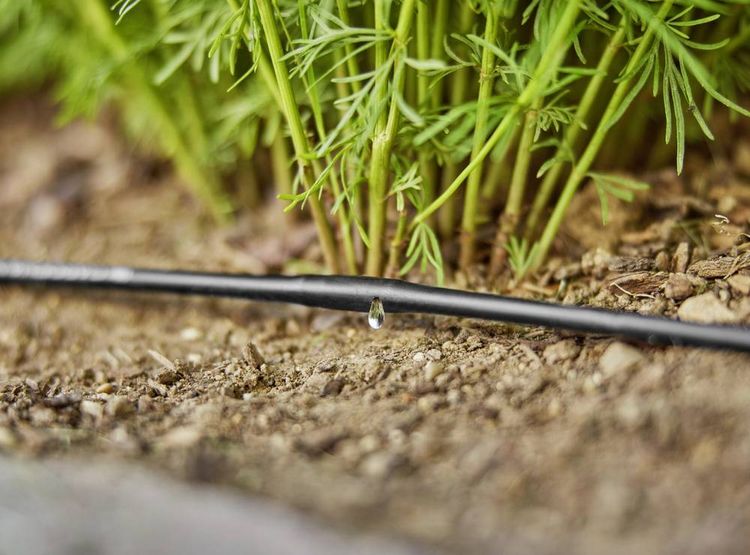 Produktbild: GARDENA Micro-Drip System 13220-20 Verbinder 13mm (1/2\") &Oslash;