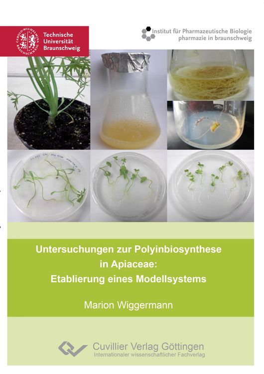 Produktbild: Untersuchungen zur Polyinbiosynthese in Apiaceae: Etablierung eines Modellsystems