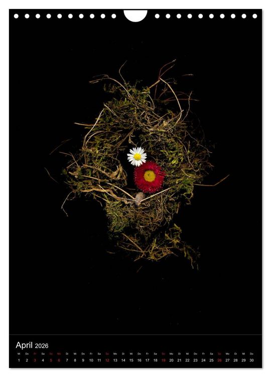 Produktbild: Blumen bei Nacht (Wandkalender 2026 DIN A4 hoch), CALVENDO Monatskalender