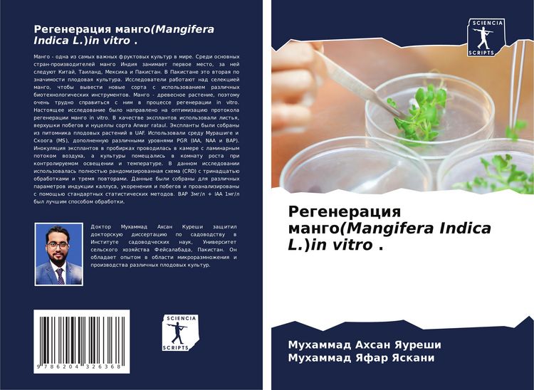 Produktbild: Regeneraciq mango(Mangifera Indica L.)in vitro .
