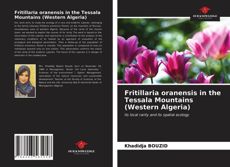 Produktbild: Fritillaria oranensis in the Tessala Mountains (Western Algeria)