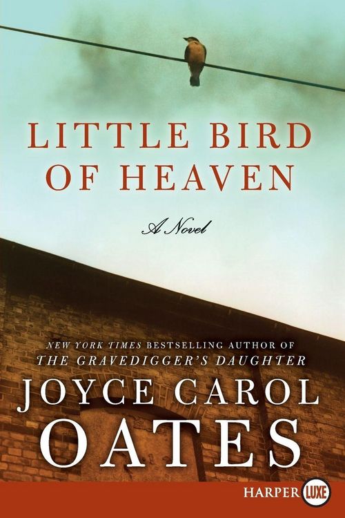 Produktbild: Little Bird of Heaven LP