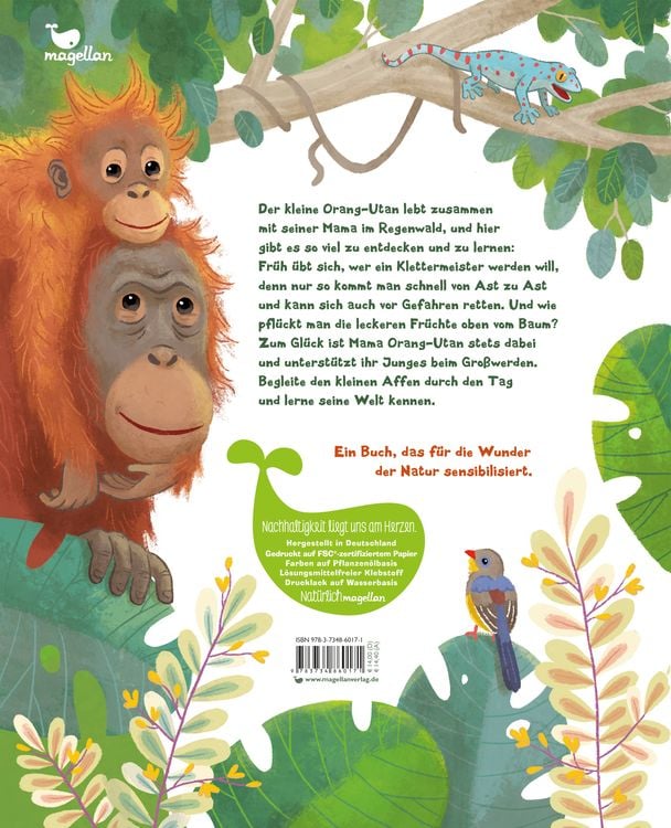 Produktbild: Der kleine Orang-Utan - Zu Hause im Regenwald