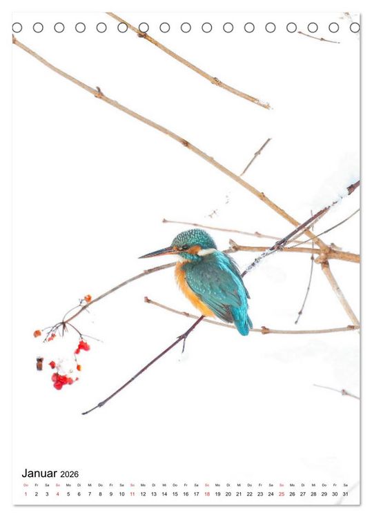 Produktbild: Vogelwelt der Schweiz (Tischkalender 2026 DIN A5 hoch), CALVENDO Monatskalender