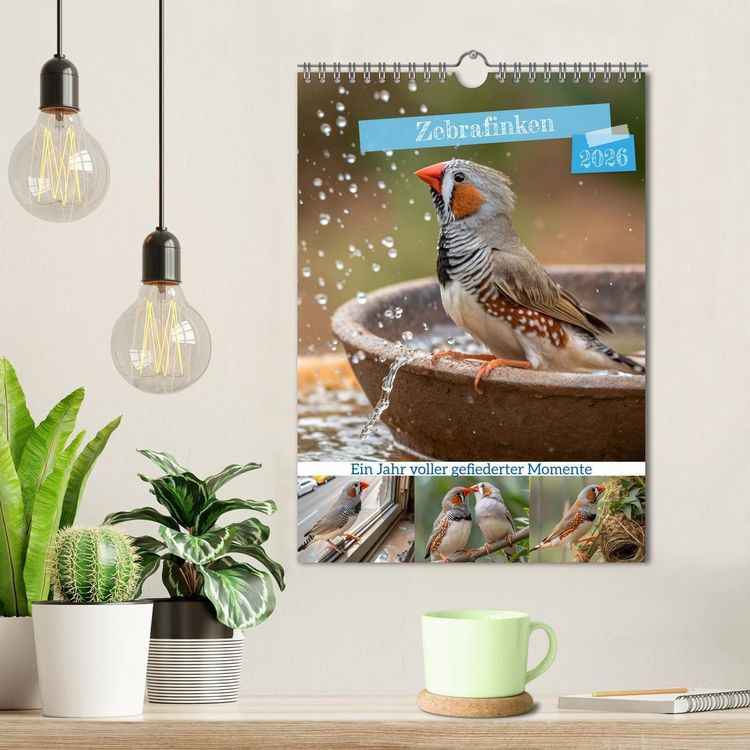 Produktbild: Zebrafinken - Ein Jahr voller gefiederter Momente (Wandkalender 2026 DIN A4 hoch), CALVENDO Monatskalender