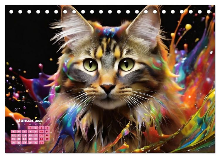 Produktbild: Splash - Katzen im Farbrausch (Tischkalender 2026 DIN A5 quer), CALVENDO Monatskalender