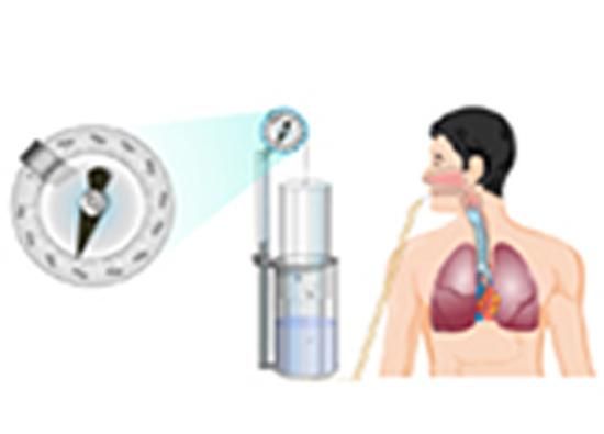 Produktbild: Vital Capacity and Effect of Posture