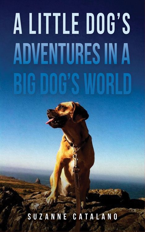 Produktbild: Little Dog's Adventures in a Big Dog's World