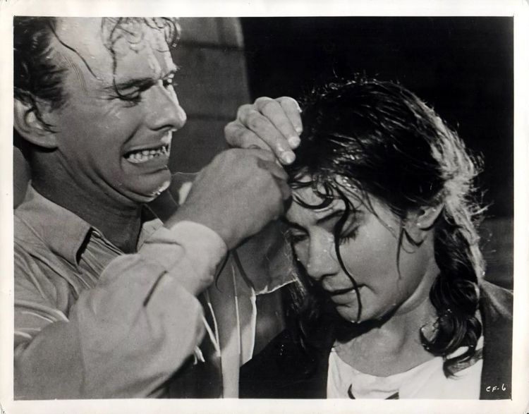 Produktbild: Wenn die Kraniche ziehen - Special Restored Edition (DEFA Filmjuwelen)