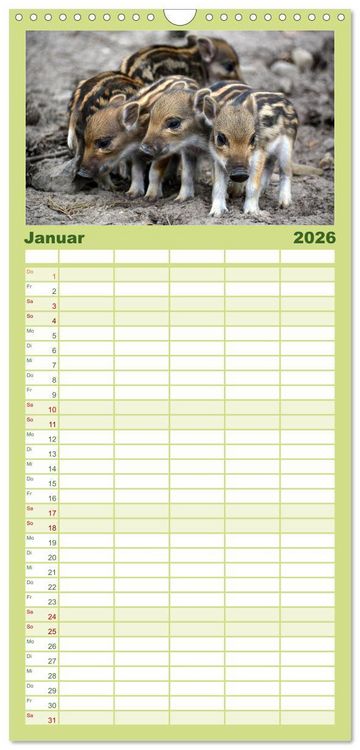 Produktbild: Familienplaner 2026 - Die lieben Kleinen ... Tierkinder einfach zum Knuddeln mit 5 Spalten (Wandkalender, 21 x 45 cm) CALVENDO