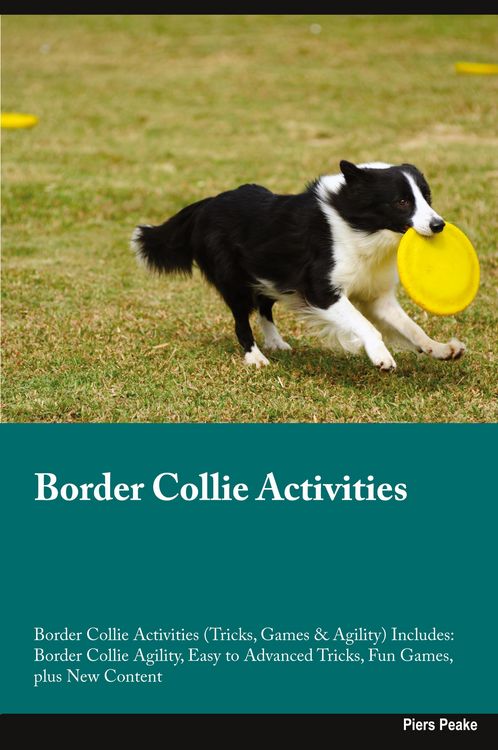 Produktbild: Border Collie Activities Border Collie Activities (Tricks, Games & Agility) Includes