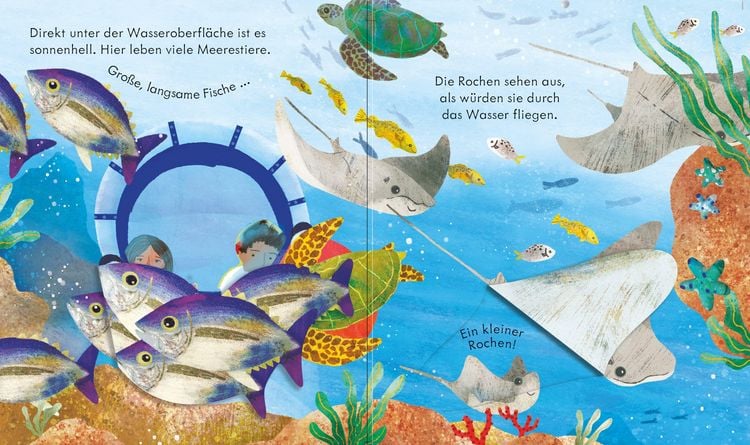 Produktbild: Guck mal, wer da ist! Reise zum Meeresgrund
