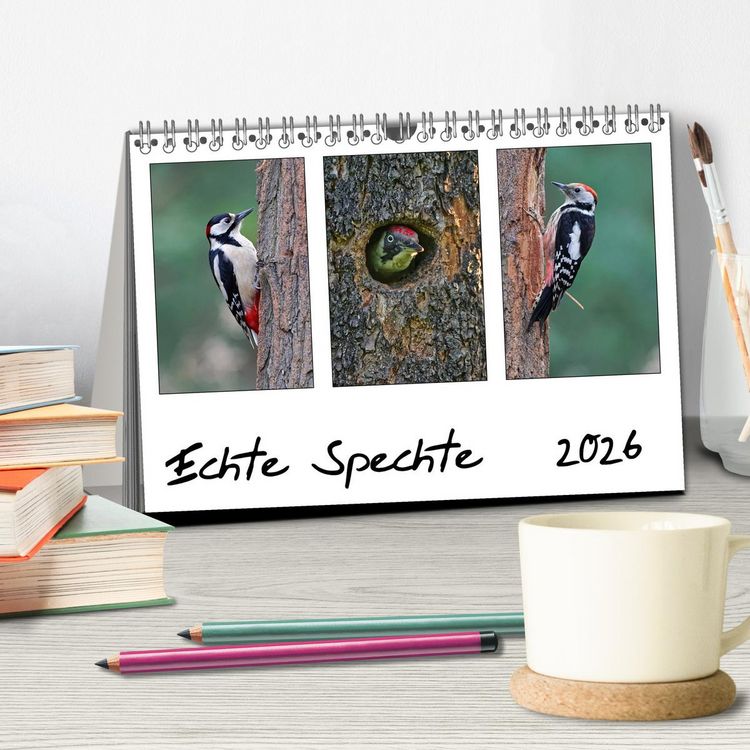 Produktbild: Echte Spechte (Tischkalender 2026 DIN A5 quer), CALVENDO Monatskalender