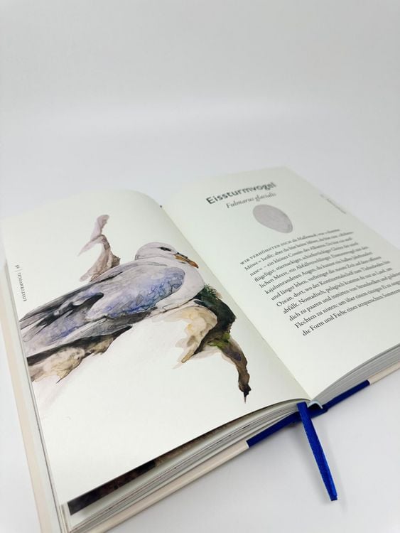 Produktbild: Das Buch der V&ouml;gel