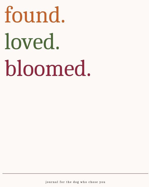 Produktbild: FoundLovedBloomed