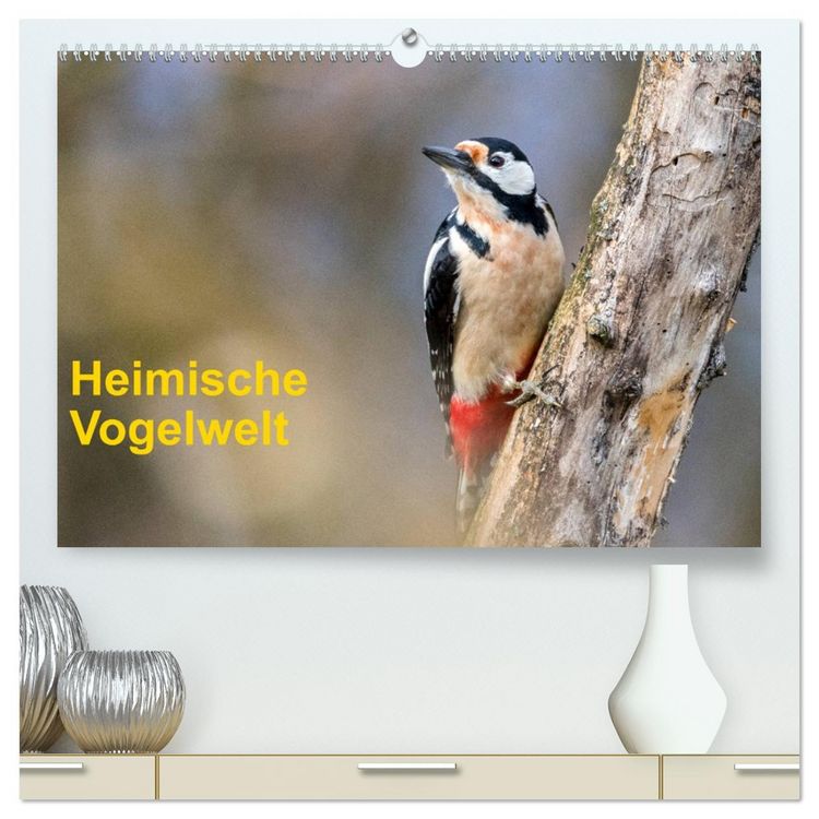 Produktbild: Heimische Vogelwelt (hochwertiger Premium Wandkalender 2026 DIN A2 quer), Kunstdruck in Hochglanz