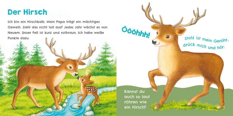 Produktbild: H&ouml;r mal, wie ich keckern kann (Mein erstes Streichel-Soundbuch 3)