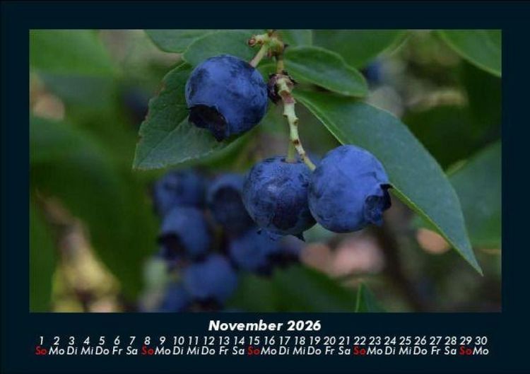 Produktbild: Obstkalender 2026 Fotokalender DIN A5