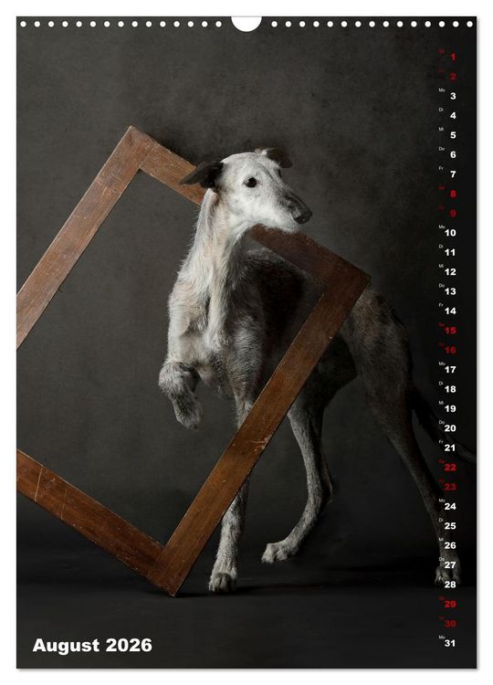 Produktbild: dogmuse deluxe (Wandkalender 2026 DIN A3 hoch), CALVENDO Monatskalender