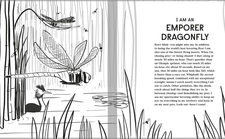 Produktbild: Book of Flight