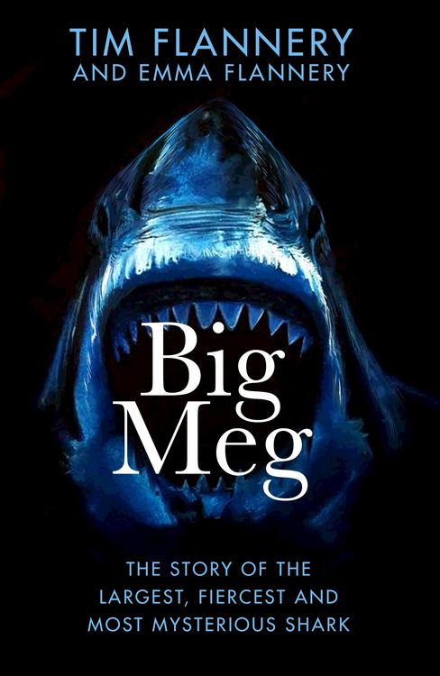 Produktbild: Flannery, E: Big Meg