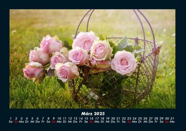 Produktbild: Rosen-Kalender 2025 Fotokalender DIN A4
