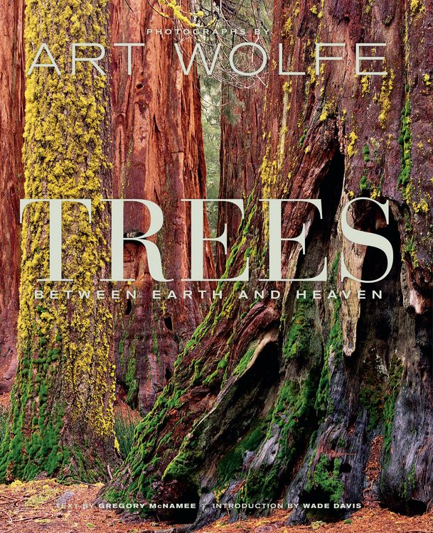 Produktbild: Trees
