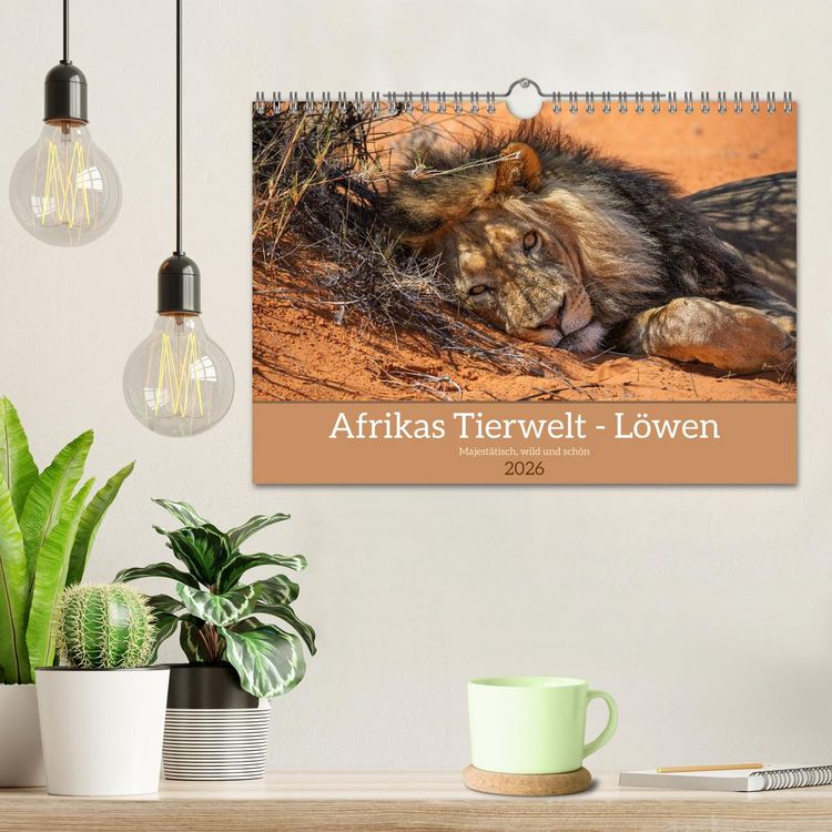 Produktbild: Afrikas Tierwelt - L&ouml;wen (Wandkalender 2026 DIN A4 quer), CALVENDO Monatskalender