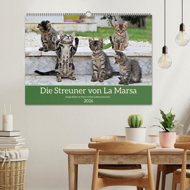 Produktbild: Die Streuner von La Marsa (Wandkalender 2026 DIN A2 quer), CALVENDO Monatskalender