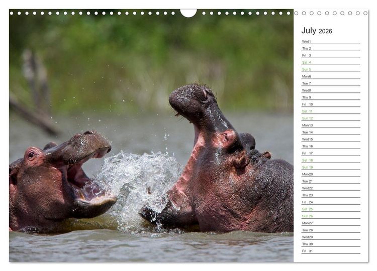 Produktbild: Kenya - its Wildlife (Wall Calendar 2026 DIN A3 landscape), CALVENDO 12 Month Wall Calendar