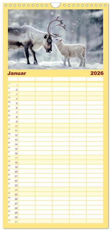 Produktbild: Familienplaner 2026 - Wenn Vertrauen siegt mit 5 Spalten (Wandkalender, 21 x 45 cm) CALVENDO