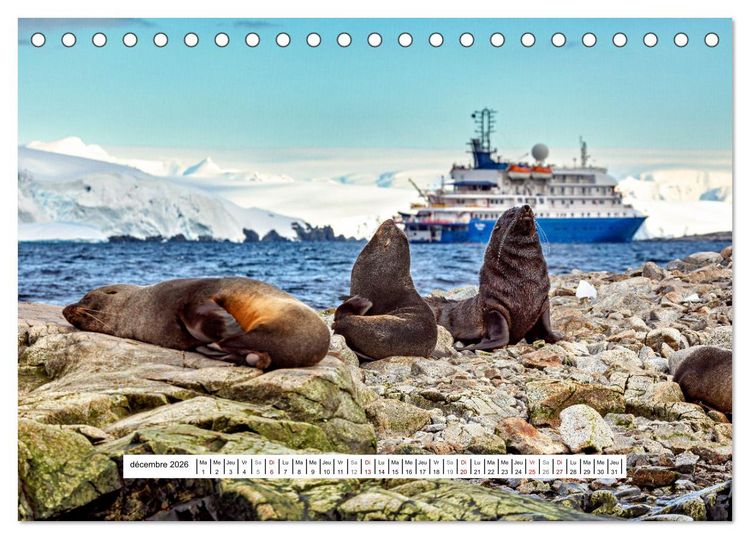 Produktbild: L'Antarctique magique (Calendrier de bureau 2026 DIN A5 vertical), CALVENDO calendrier mensuel