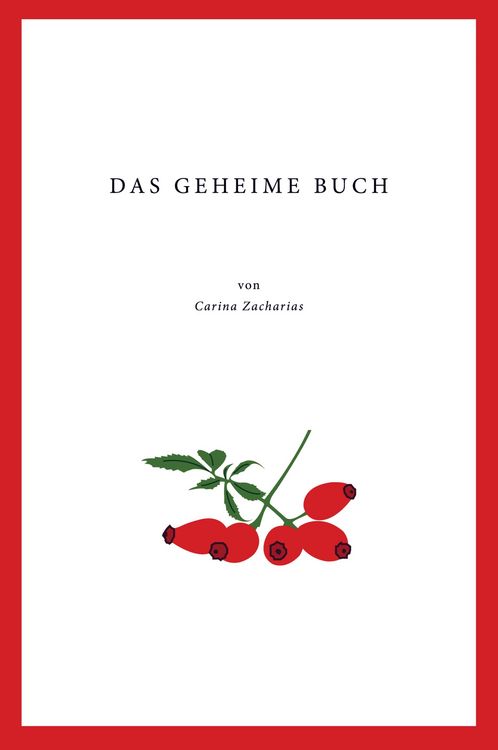 Produktbild: Das geheime Buch