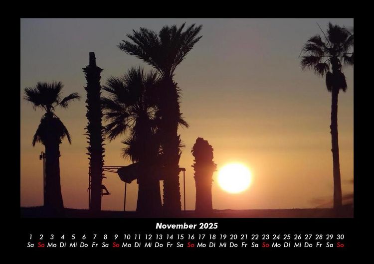 Produktbild: Palmentraum 2025 Fotokalender DIN A3