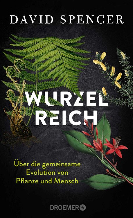 Produktbild: Wurzelreich