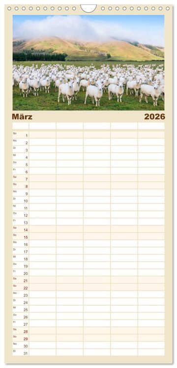 Produktbild: Familienplaner 2026 - Neuseeland - Traumlandschaften aus einem Naturparadies mit 5 Spalten (Wandkalender, 21 x 45 cm) CALVENDO