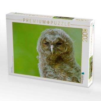 Produktbild: CALVENDO Puzzle Waldkauz-&Auml;stling | 2000 Teile Lege-Gr&ouml;&szlig;e 90x67cm Foto-Puzzle f&uuml;r gl&uuml;ckliche Stunden