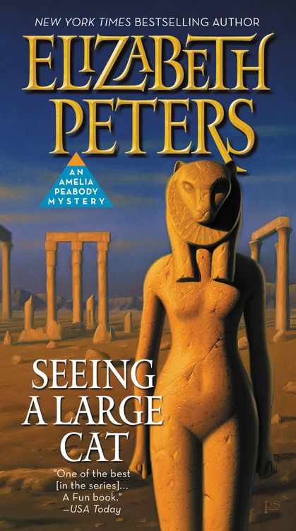 Produktbild: Seeing a Large Cat